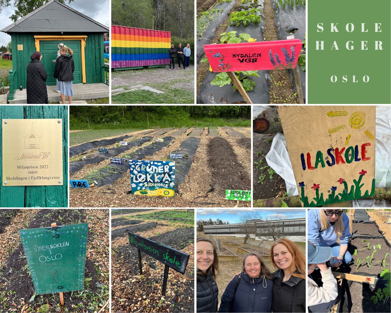 Osloskolen praktisk læringsarenaer. Skolemiljø. Samfunsfloker. Sosial Bærekraft.