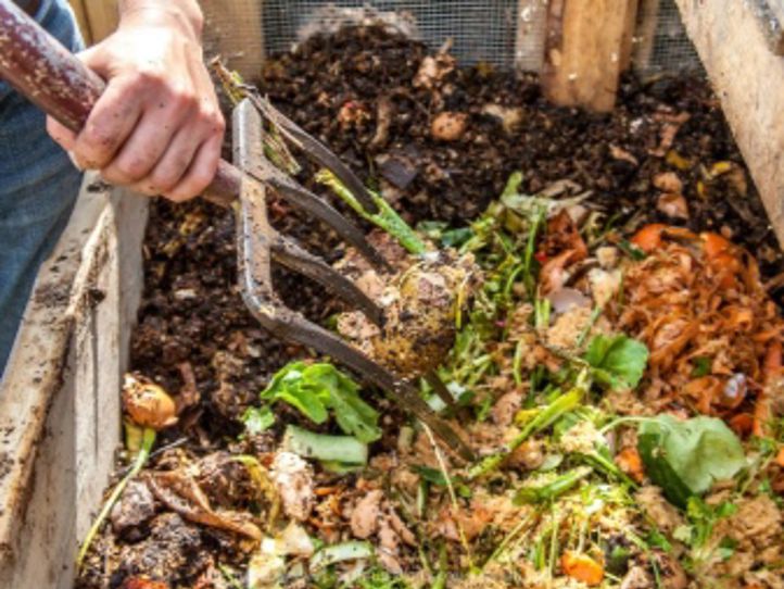 en person som holder en slange til en plantekasse fylt med planter