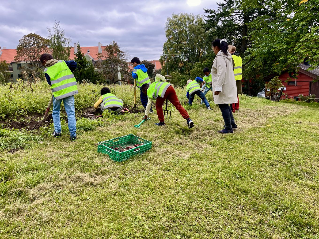 en gruppe mennesker som leker med et leketøy en gruppe mennesker som leker med et leketøy