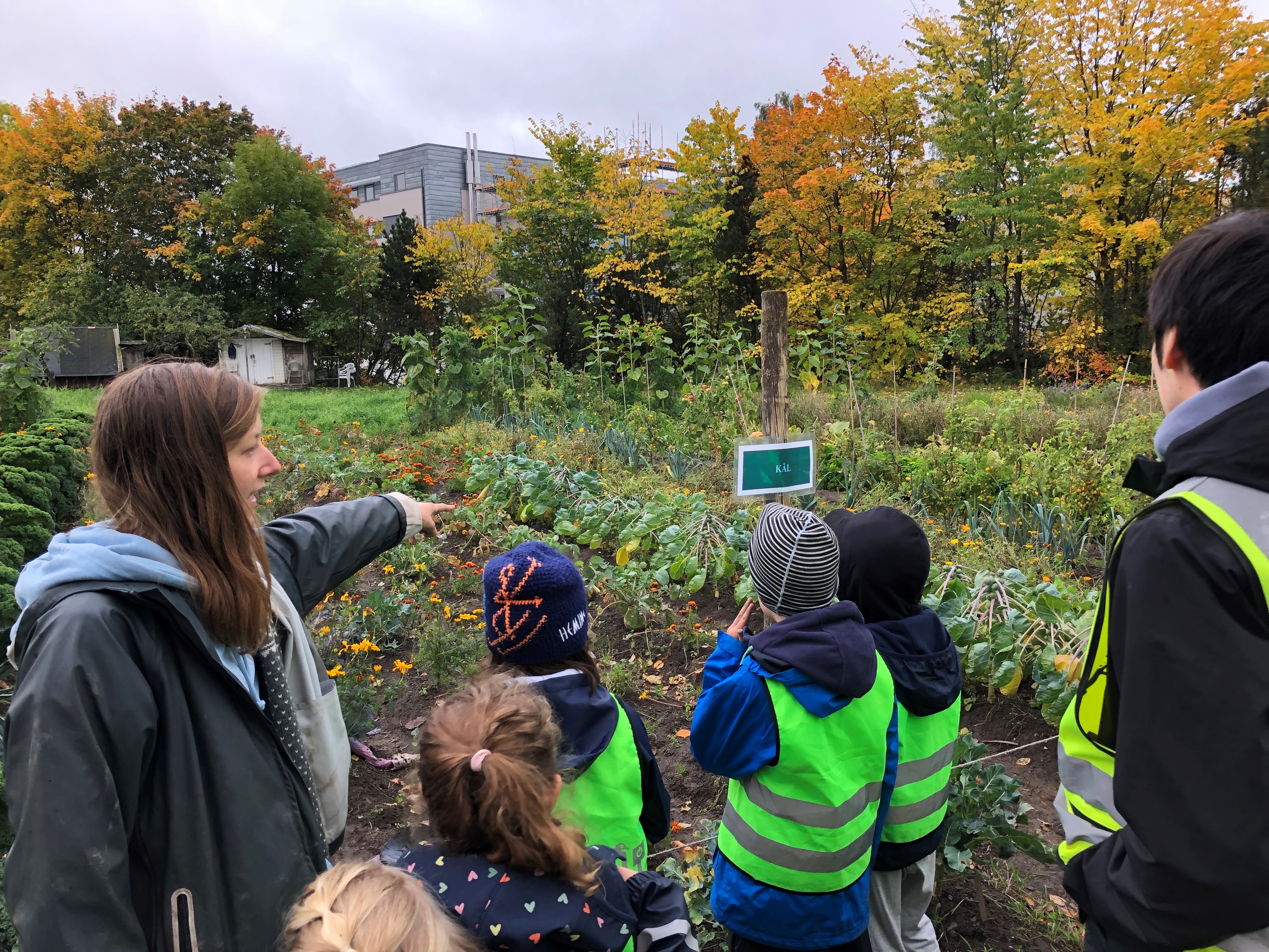 Kurs I Skolehage 2023