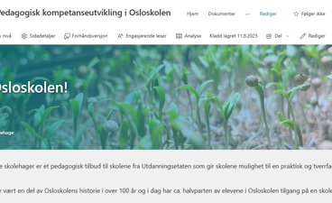 grafisk brukergrensesnitt, applikasjon, PowerPoint