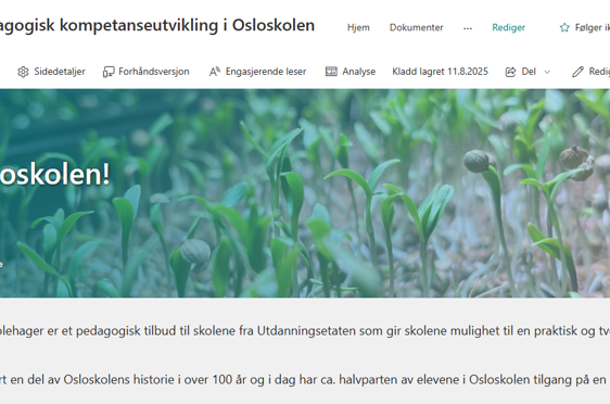 grafisk brukergrensesnitt, applikasjon, PowerPoint