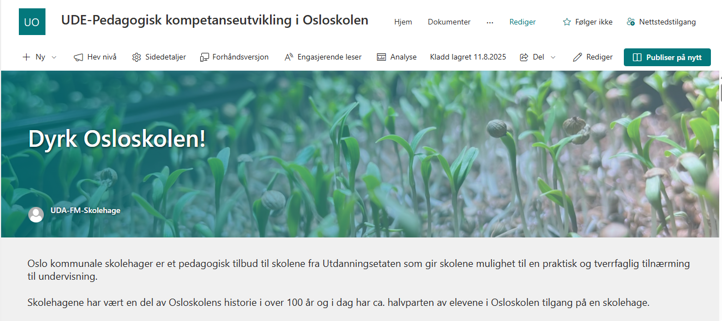 grafisk brukergrensesnitt, applikasjon, PowerPoint