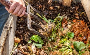 en person som holder en slange til en plantekasse fylt med planter