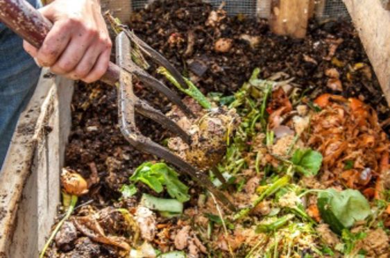 en person som holder en slange til en plantekasse fylt med planter