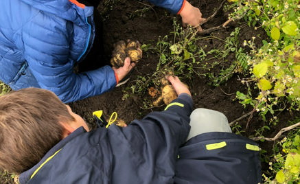 En gruppe mennesker som ser på en blomst