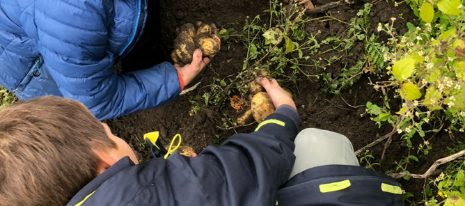 En gruppe mennesker som ser på en blomst