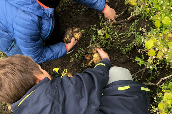 En gruppe mennesker som ser på en blomst