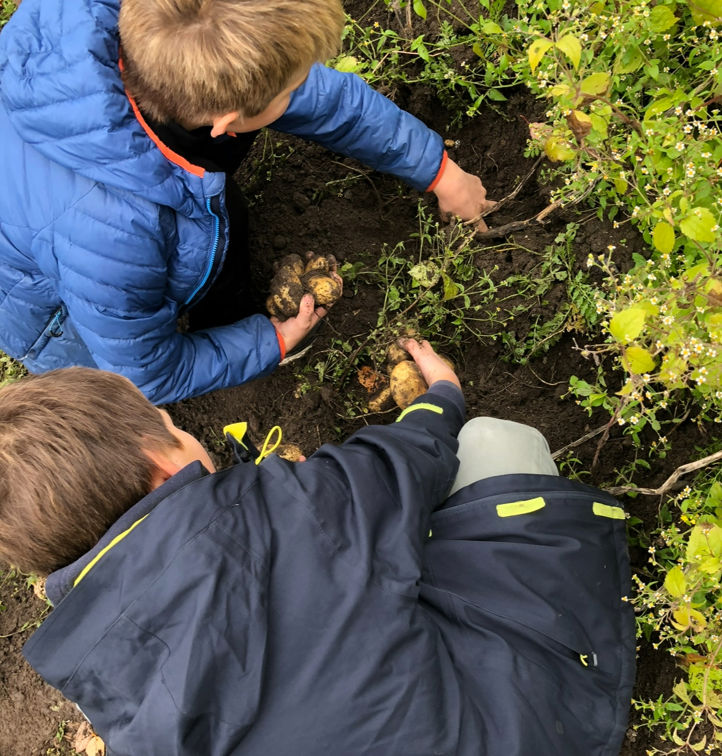 En gruppe mennesker som ser på en blomst