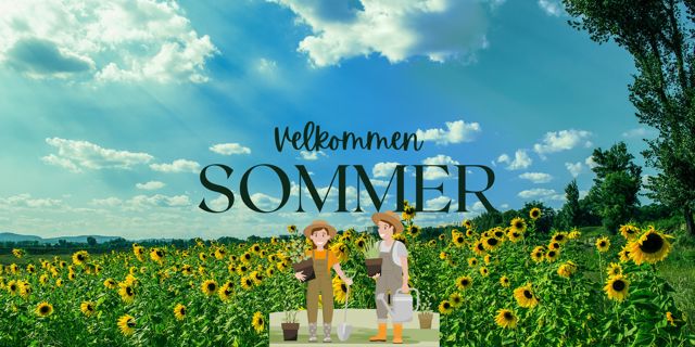 et par mennesker som står i en blomsteråker