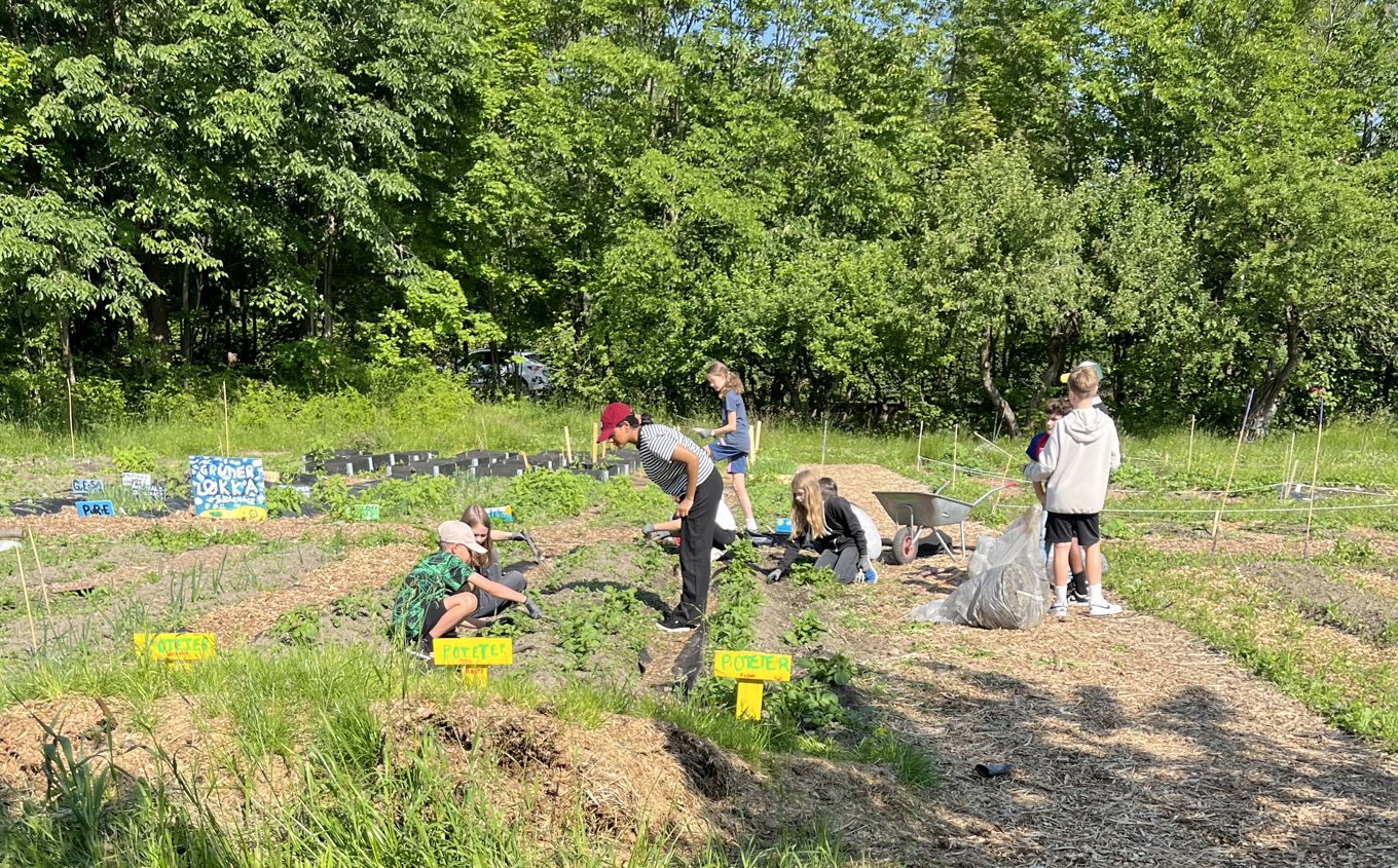 Foto: Tiril Sofie Gilbert En gruppe elever som undervises i en skolehage.
