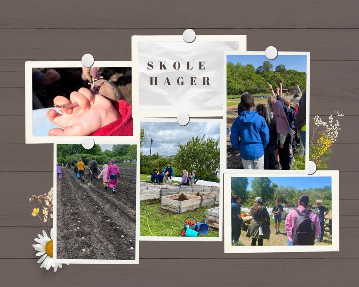 En collage av bilder av mennesker