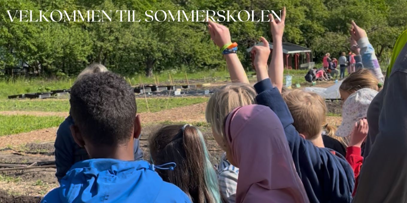 Sommerskolen blir innholdsrik, lærerik og gøy!