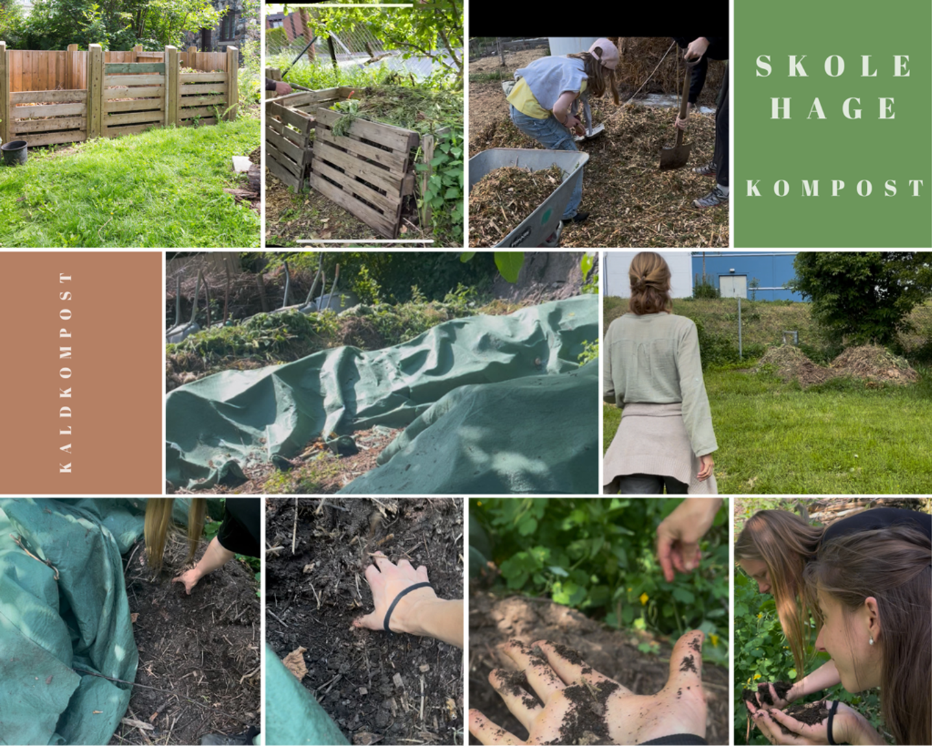 Kaldkompostering i skolehagen som bærekraftig ressursbruk og sirkulær tankegang.