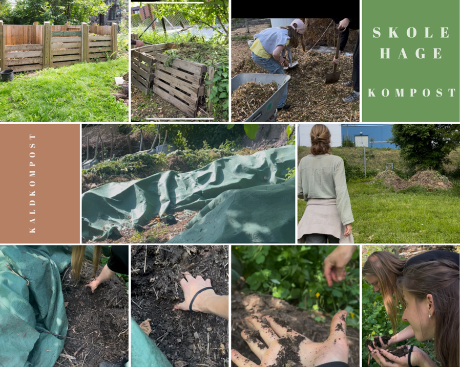 Kaldkompostering i skolehagen som bærekraftig ressursbruk og sirkulær tankegang.