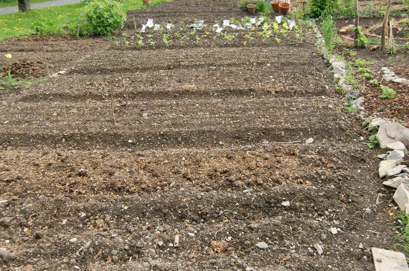 Foto: Tore Faller Jorde