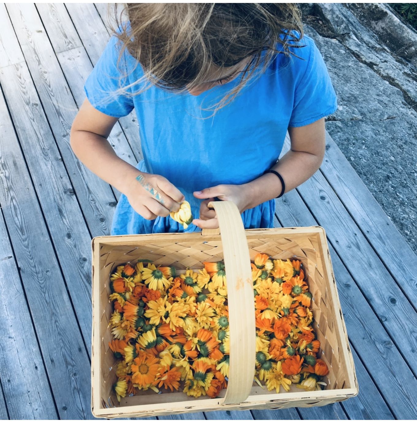 Jente med ringblomster i kurv