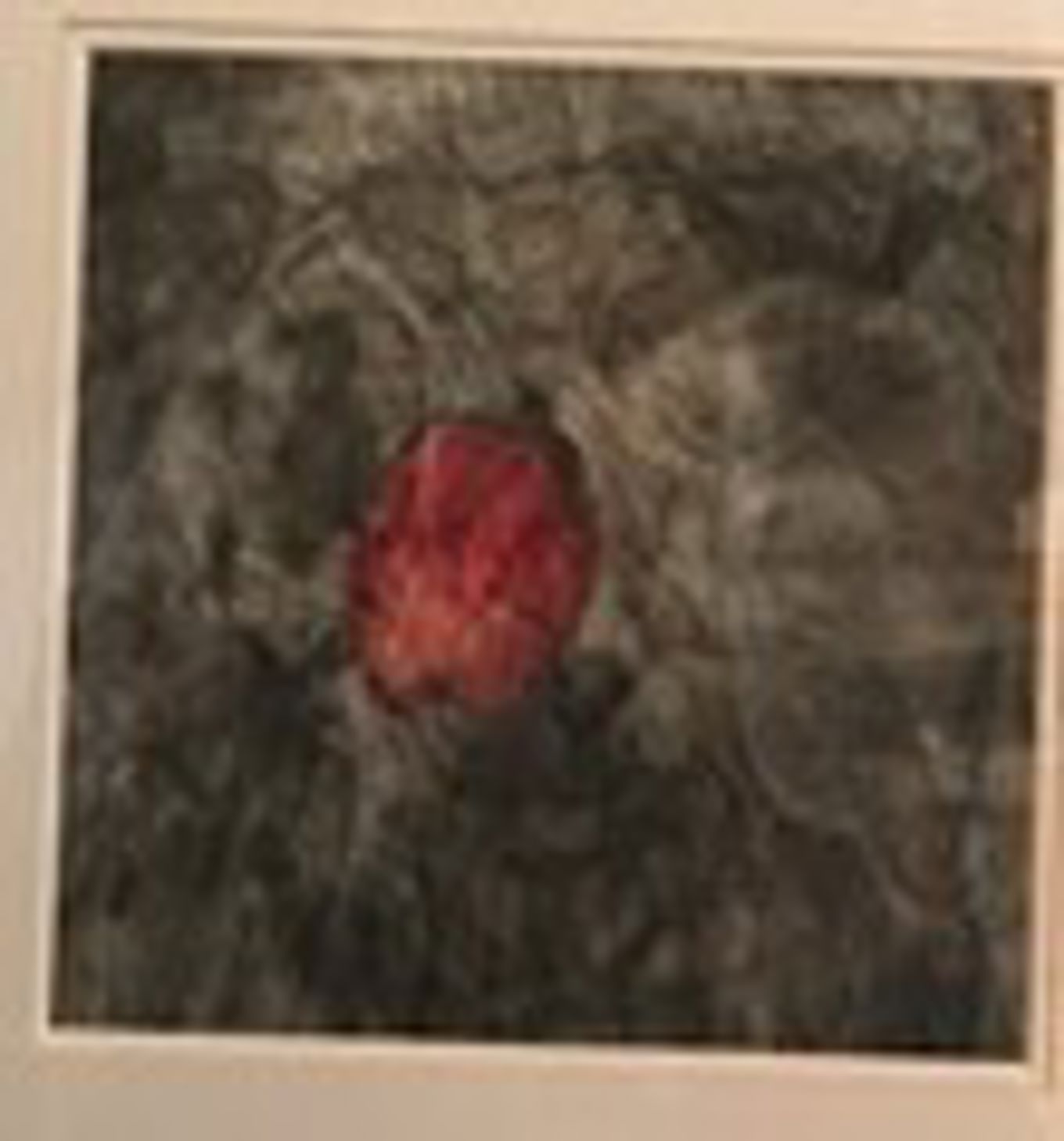 tegning av eple tegning av eple