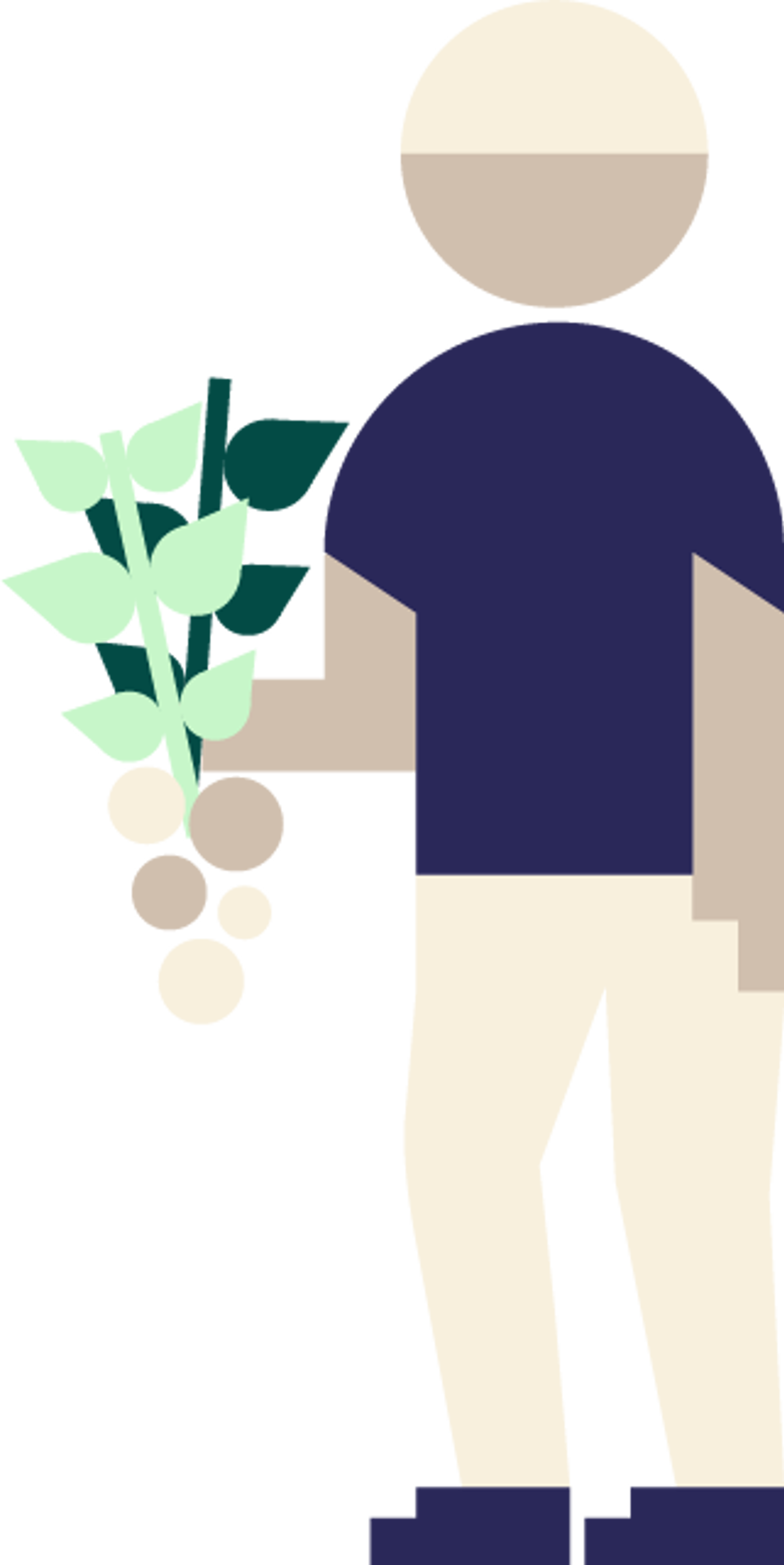 Elev holder potetplante